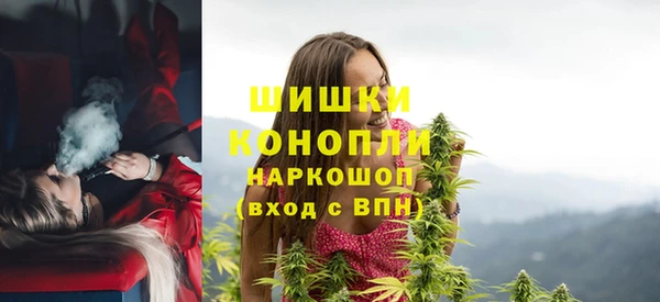 гидра Коряжма