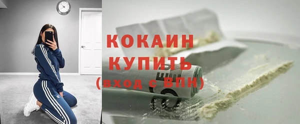стаф Кулебаки
