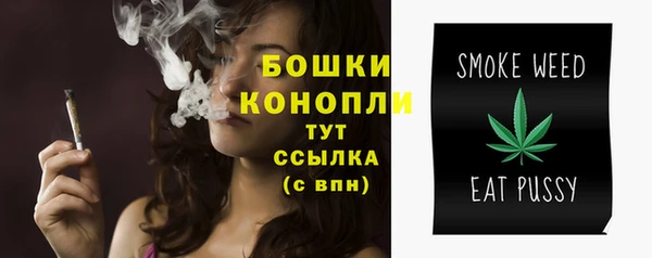 гидра Коряжма