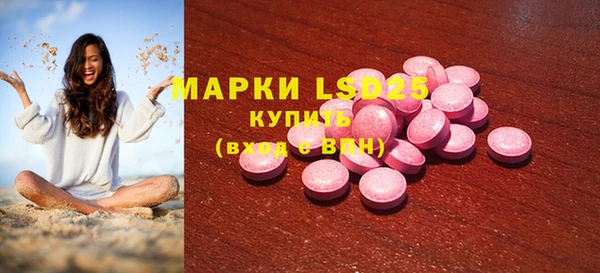 стаф Кулебаки