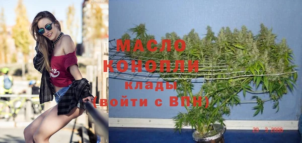 стаф Кулебаки