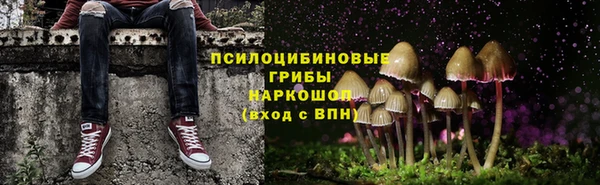 гидра Коряжма