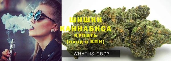 гидра Коряжма