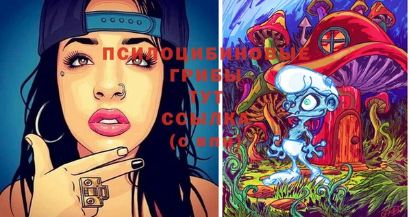 эйфоретик Кукмор