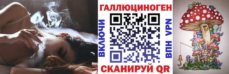 ссылка на мегу как зайти  Мамадыш  Псилоцибиновые грибы Magic Shrooms 